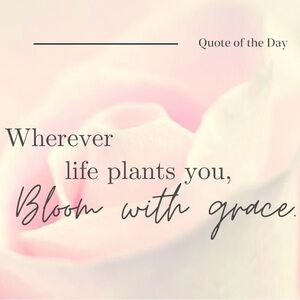 Meet your Posher, Jasmin